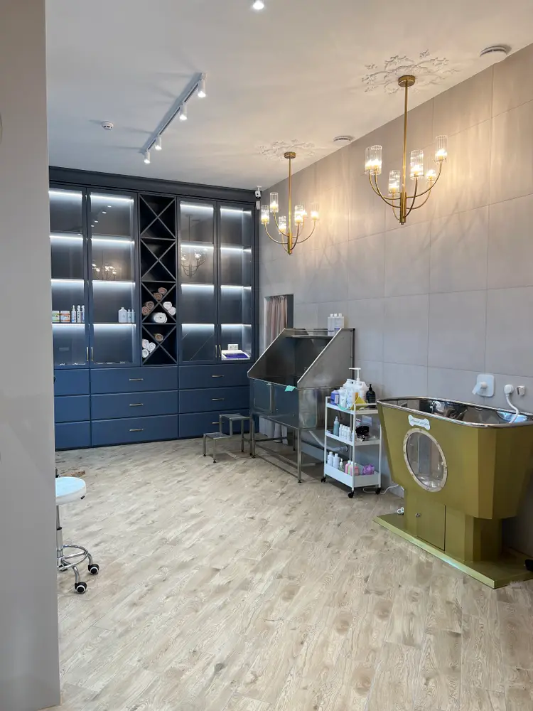 Amanda Pet’s Spa photo 4