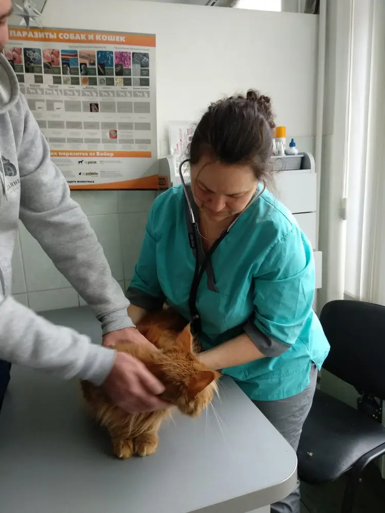 Лессі (Оболонський р-н) photo 7