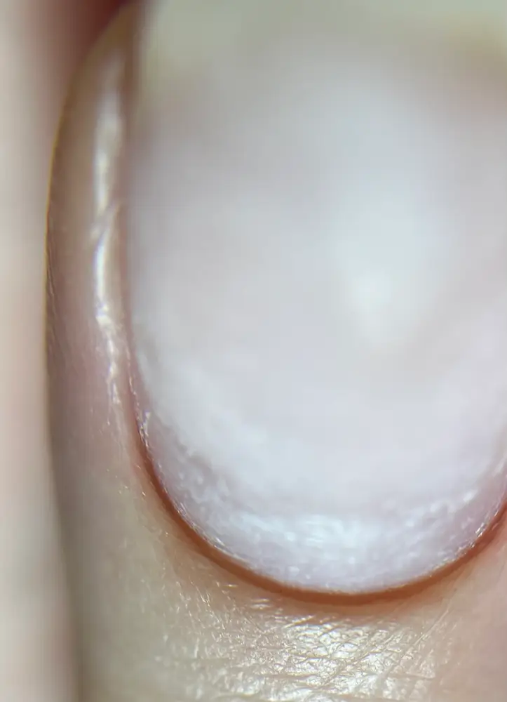 Манікюр у Києві, м. Лівобережна - Dolonki Nails 💅 photo 17