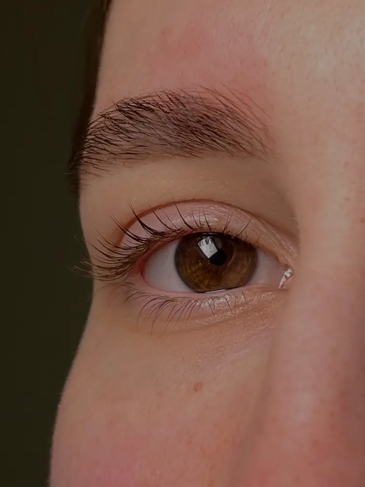 llabrows photo 2