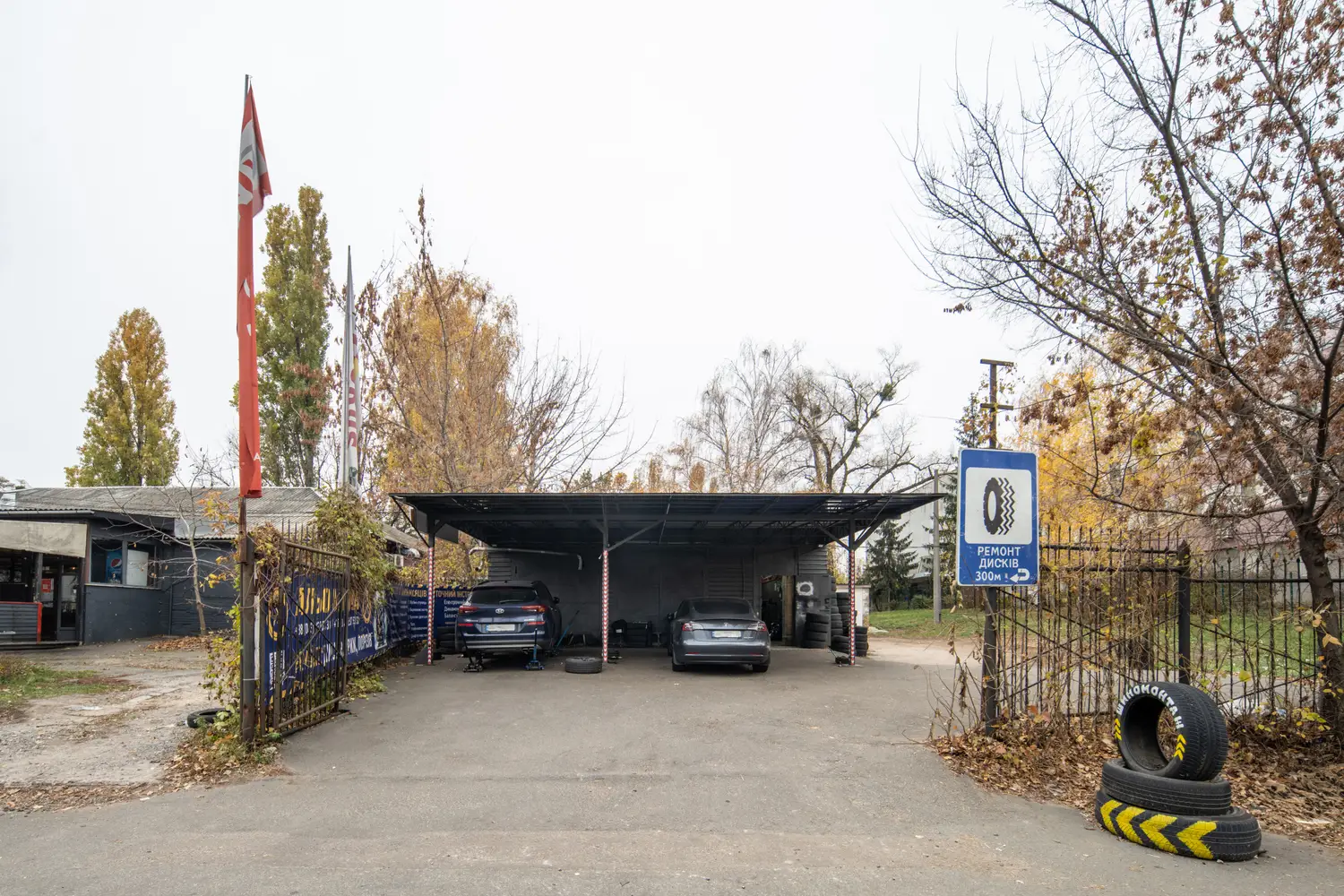 АЛЬО ШИНА Теремки photo 1