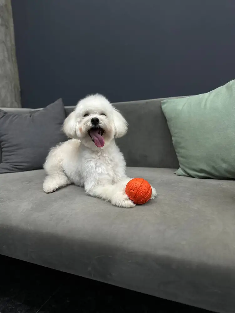 Мамій photo 24