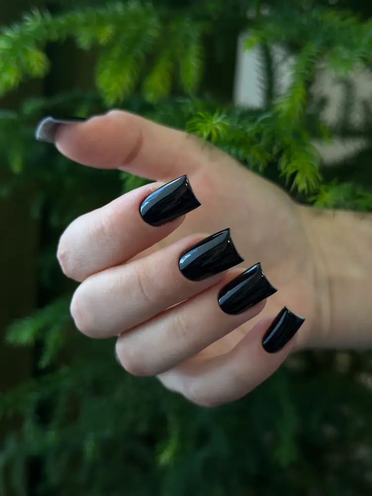 Студія нігтьової естетики ХВОЯ🌲 photo 4