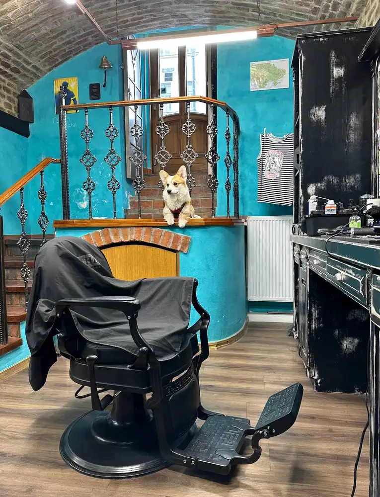Odessa Mama Barbershop photo 5