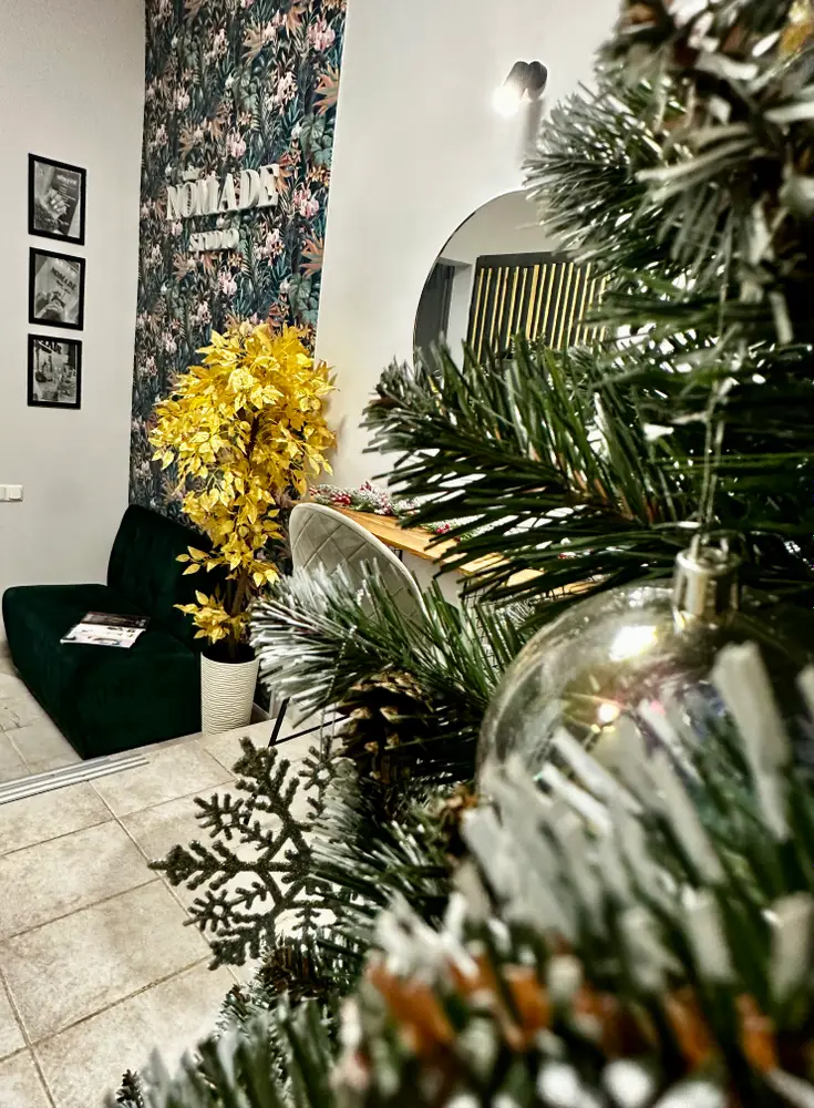 NOMADE STUDIO - PECHERSK photo 12