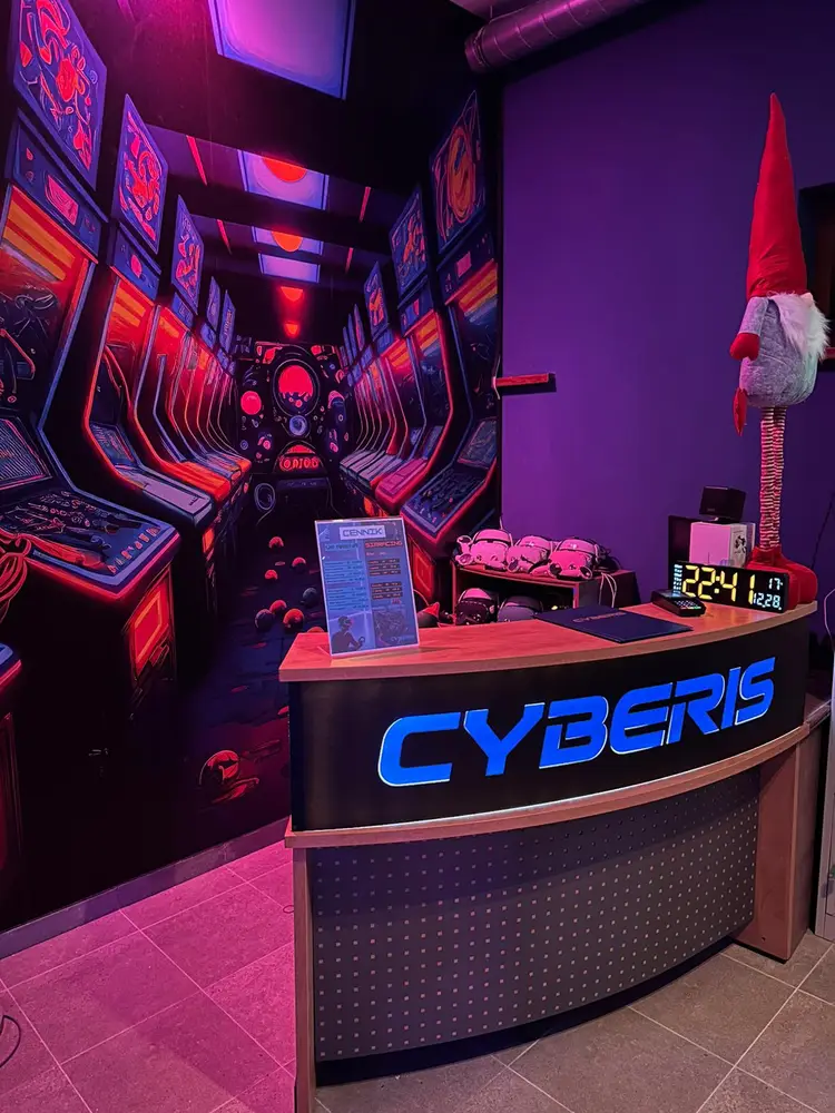 CYBERIS photo 2