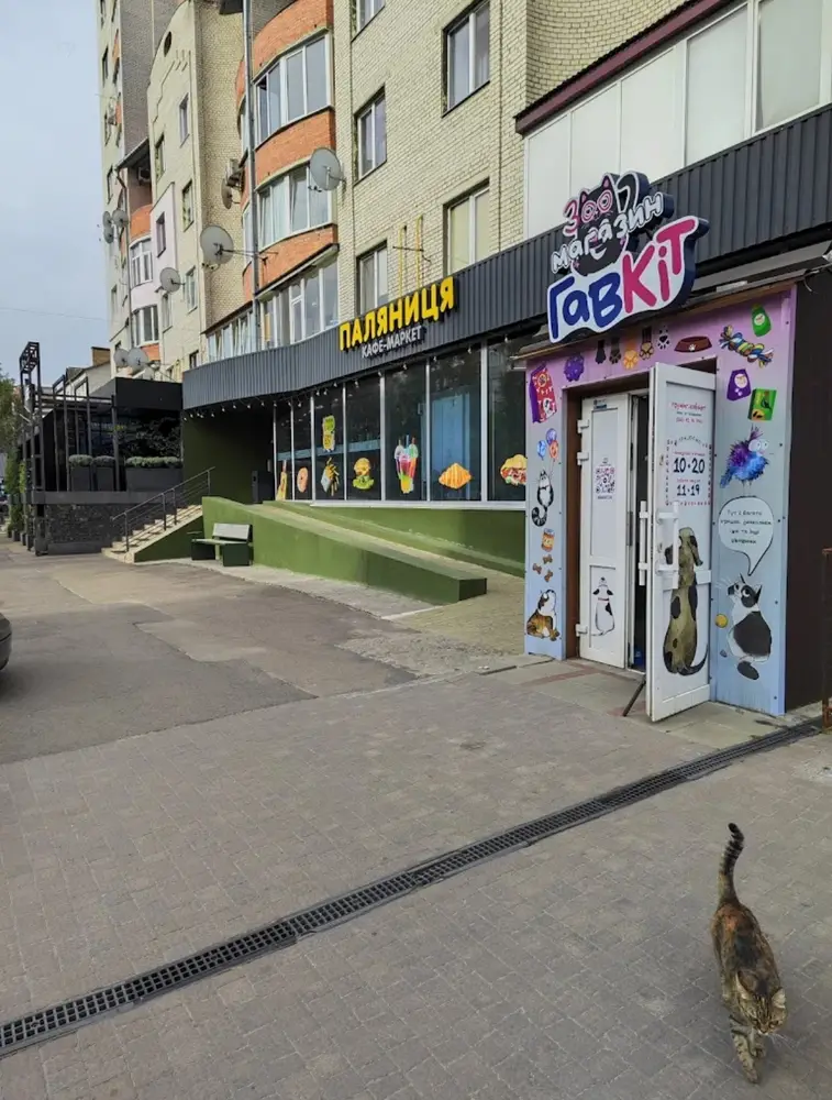 ГавКіт грумінг photo 1