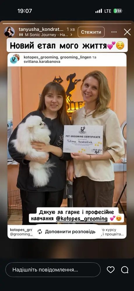 Студія грумінгу «Котопес» photo 18