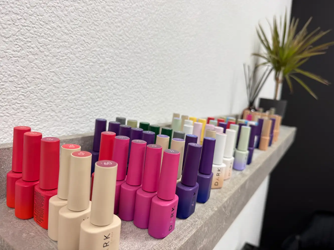 PANORAMA BEAUTY STUDIO photo 9