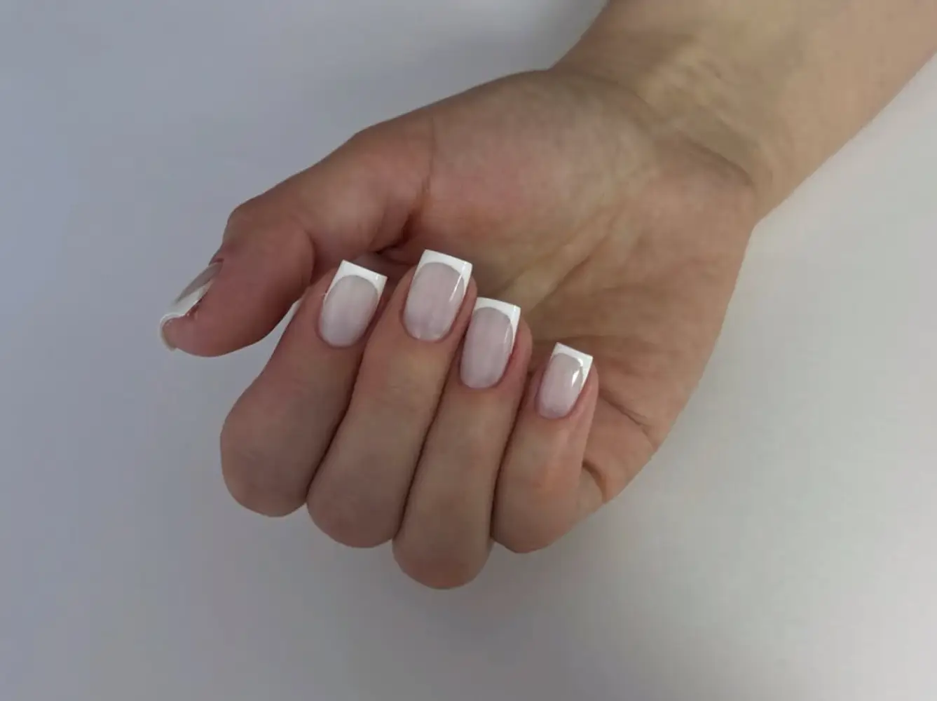Sphynx_nails photo 4