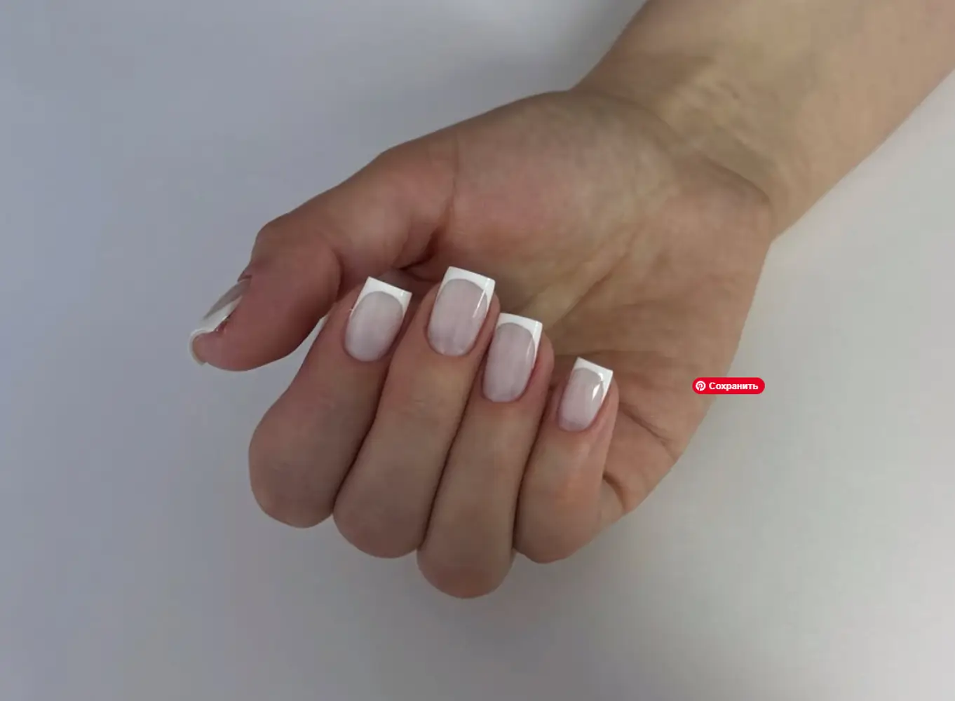 Sphynx_nails photo 3