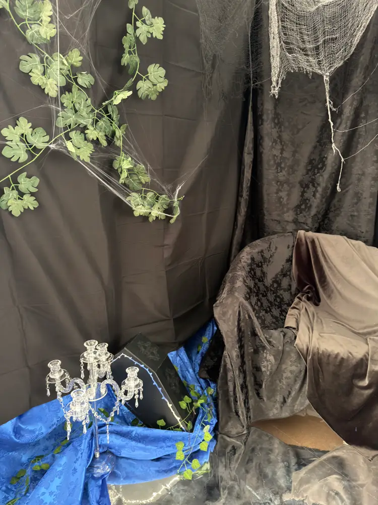 Moonpetal Studio photo 10