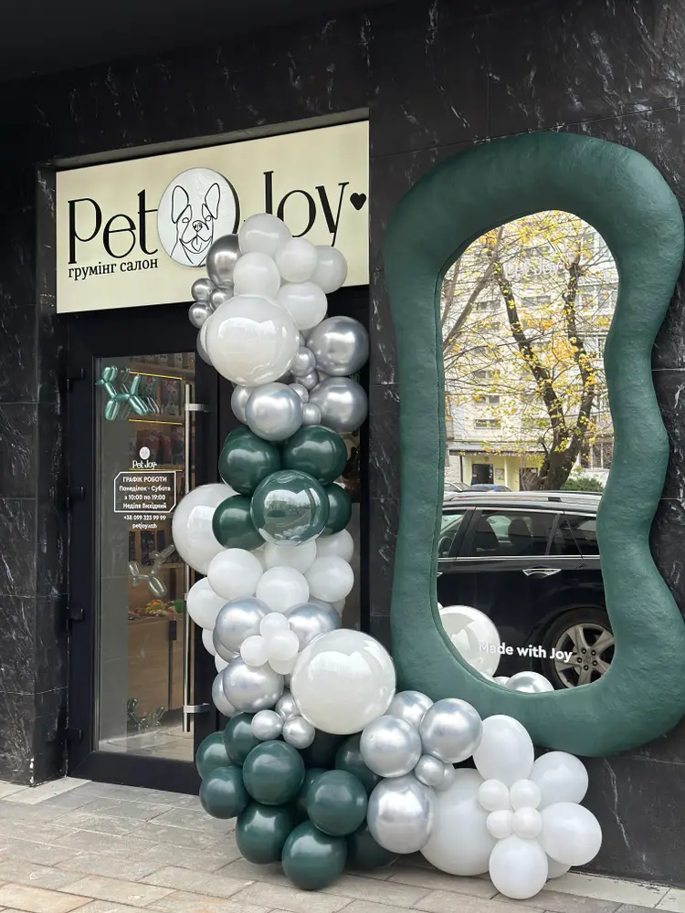 Pet Joy Uzh · Pet Joy 2.0 photo 1